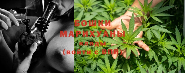 спайс Арсеньев
