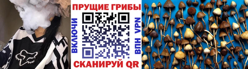 Псилоцибиновые грибы ЛСД  Жиздра 